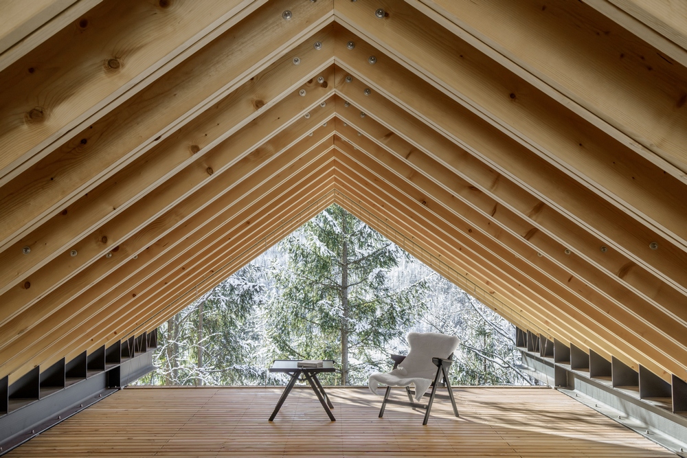 Twin Alpine Houses Dekleva Gregoric Architects photo Ana Skobe 2 inside 18