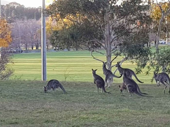 РЕПУБЛИКА СРБИЈА МИНИСТАРСТВО СПОЉНИХ ПОСЛОВА